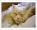 Jerry 2